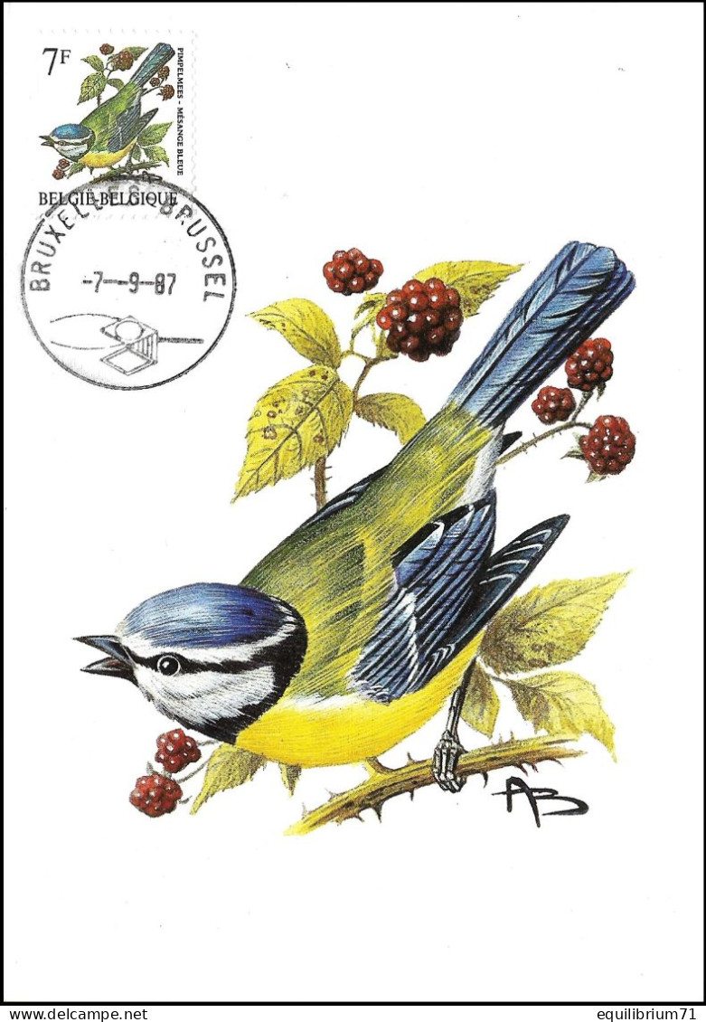 CM/MK° - Mésange Bleue / Pimpelmees / Blaumeise / Blue Tit / Cyanistes Caeruleus - BXL-BSL - 07-09-1987 - BUZIN - RRRRRR - 1985-.. Oiseaux (Buzin)