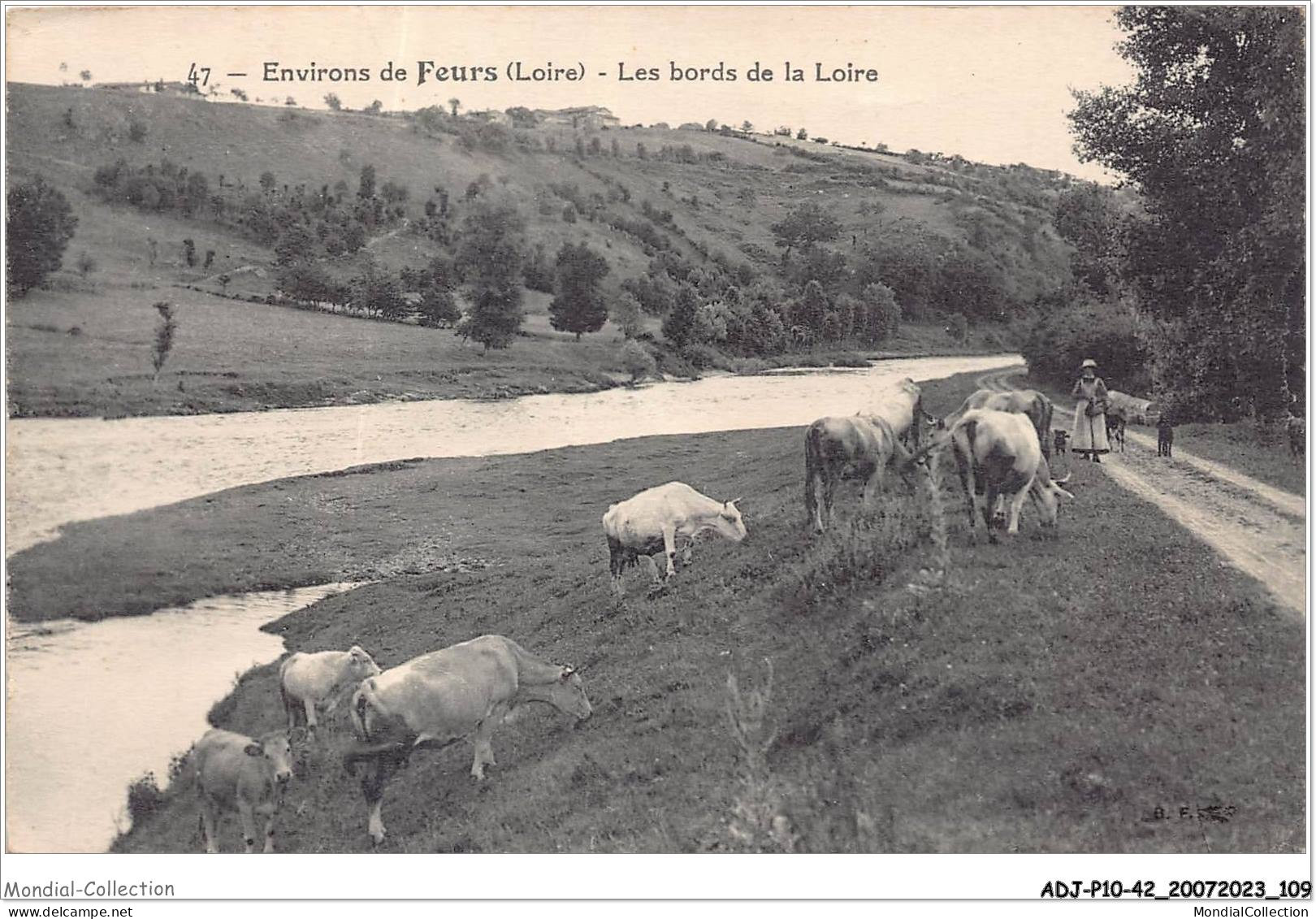 ADJP10-42-0862 - Environs De FEURS - Les Bords De La Loire - Feurs