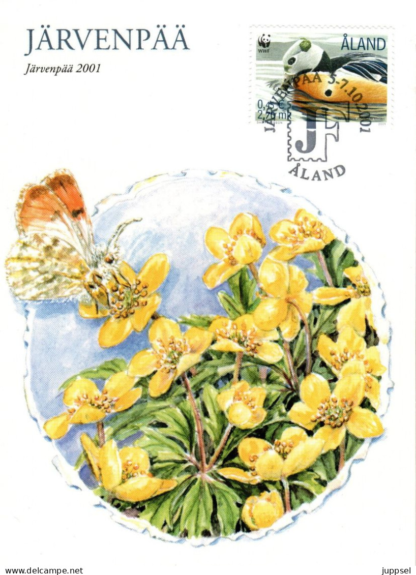 ÂLAND ISLANDS, WWF, Carte Postale, Duck    /    LES ILES D`ÂLAND, Lettre, Canard - 1 - Entenvögel