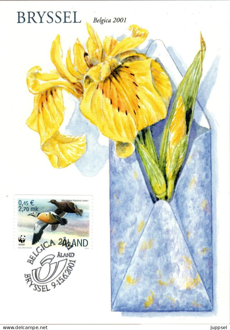 ÂLAND ISLANDS, WWF, Carte Postale, Duck    /    LES ILES D`ÂLAND, Lettre, Canard - 3 - Entenvögel