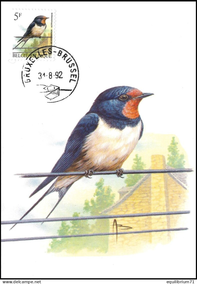 CM/MK° - Hirondelle De Cheminée / Boerenzwaluw / Rauchschwalbe / Swallow - BXL-BSL - 31-08-1992 - BUZIN - RRR - 1985-.. Vogels (Buzin)