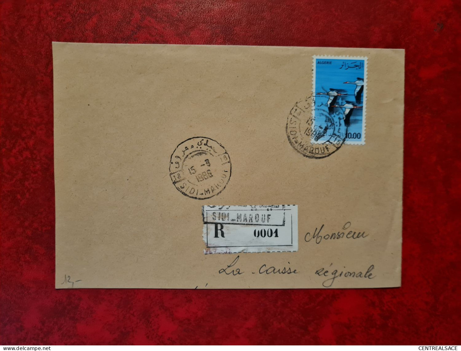 Lettre 1986 RECOMMANDE SIDI MAROUF  POUR STRASBOURG  CIGOGNES - Algérie (1962-...)