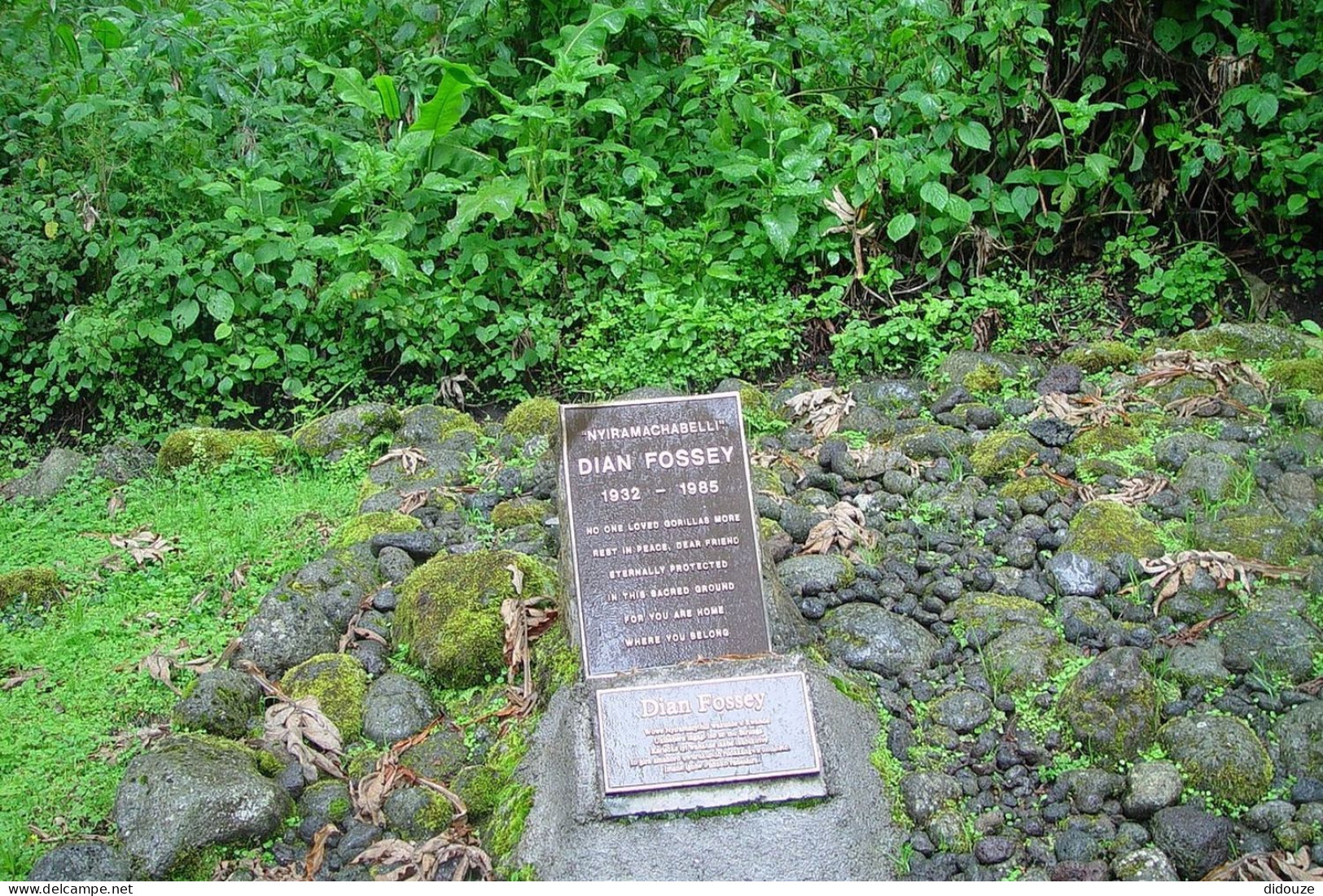 Rwanda - Volcanoes National Park - Tombe De Dian Fossey - Parc Des Volcans - Zoo - CPM - Carte Neuve - Voir Scans Recto- - Rwanda