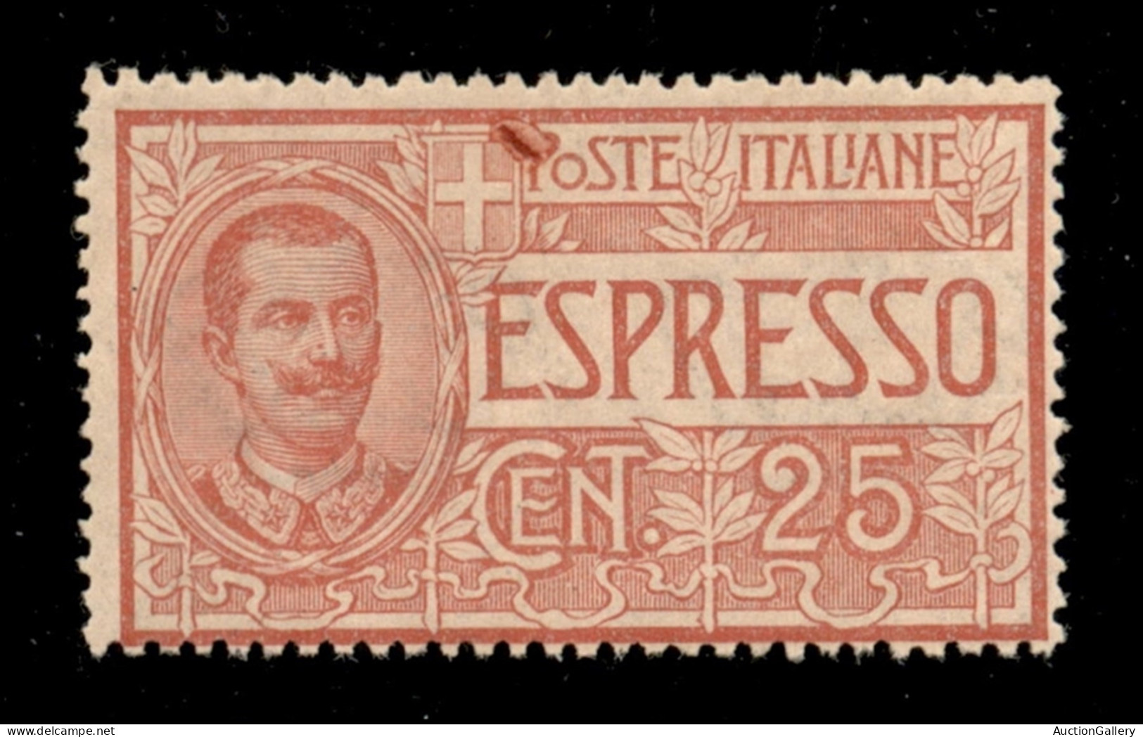 Regno - Espressi - 1903 - 25 Cent Floreale (1 Varietà) - Macchia Di Colore Su P Di Poste - Gomma Integra - Autres & Non Classés