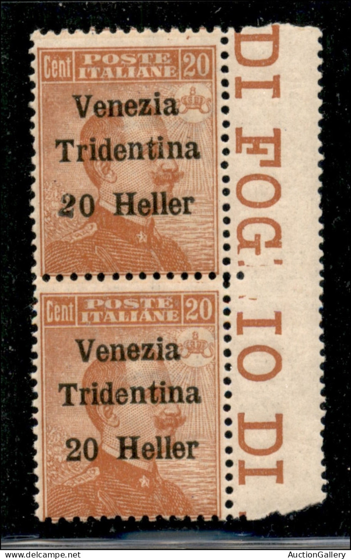 Occupazioni I Guerra Mondiale - Trentino-Alto Adige - 1918 - Coppia Del 20 Heller Su 20 Cent (30e + 30) Con 2 Stampiglia - Autres & Non Classés