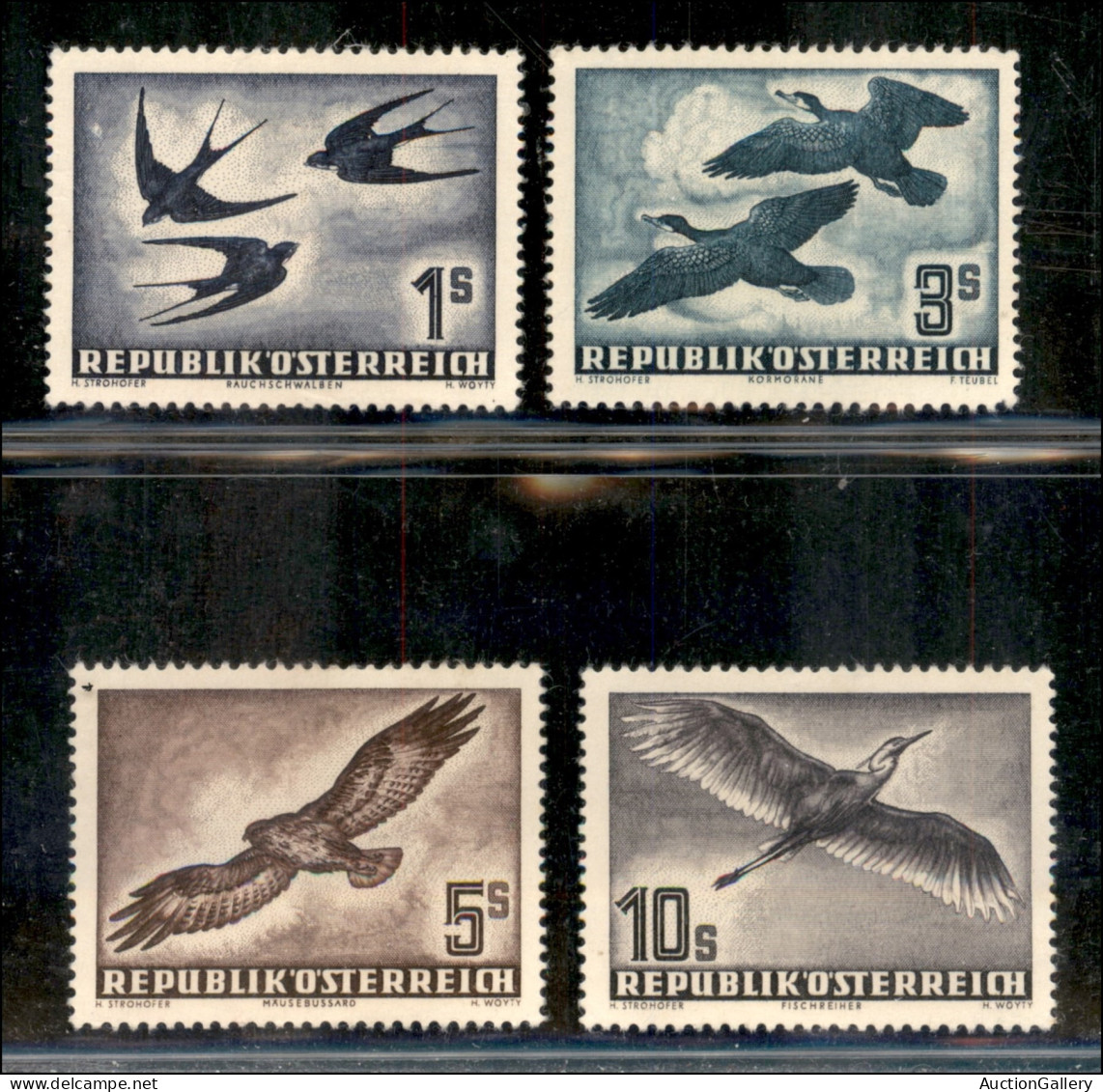 EUROPA - AUSTRIA - 1953 - Uccelli (984/987) - Serie Completa - Gomma Integra - Other & Unclassified