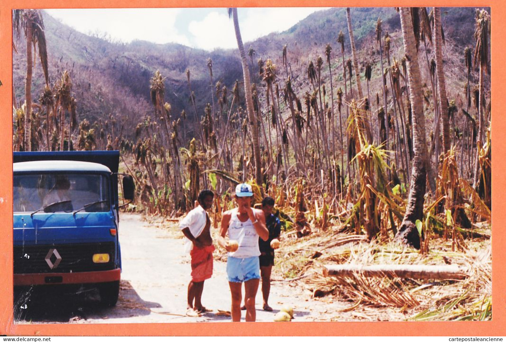 16243 / WALLIS Et FUTUNA Camion RENAULT Foret Palmiers Après Cyclone 1990s Photographie 15x10cm - Wallis Et Futuna