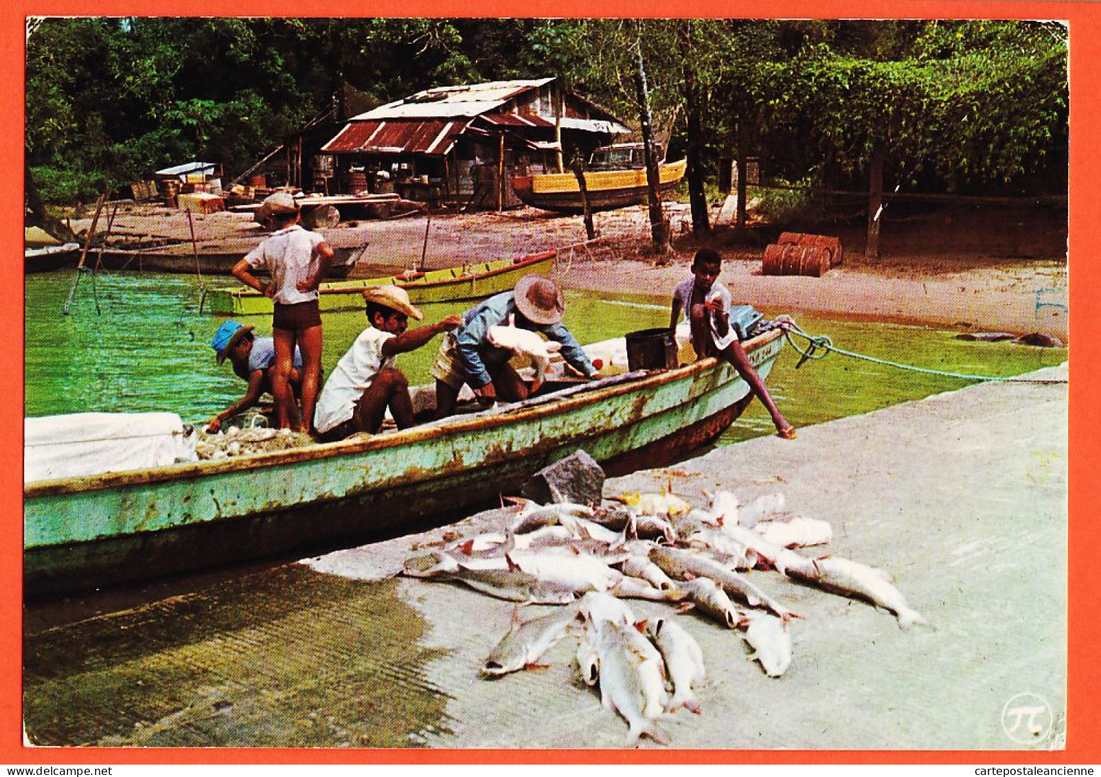 16168 / Ile CAYENNE Guyane Française Retour De Pêche Au DEGRAD Des CANNES 1980s DELABERGERIE  - Cayenne