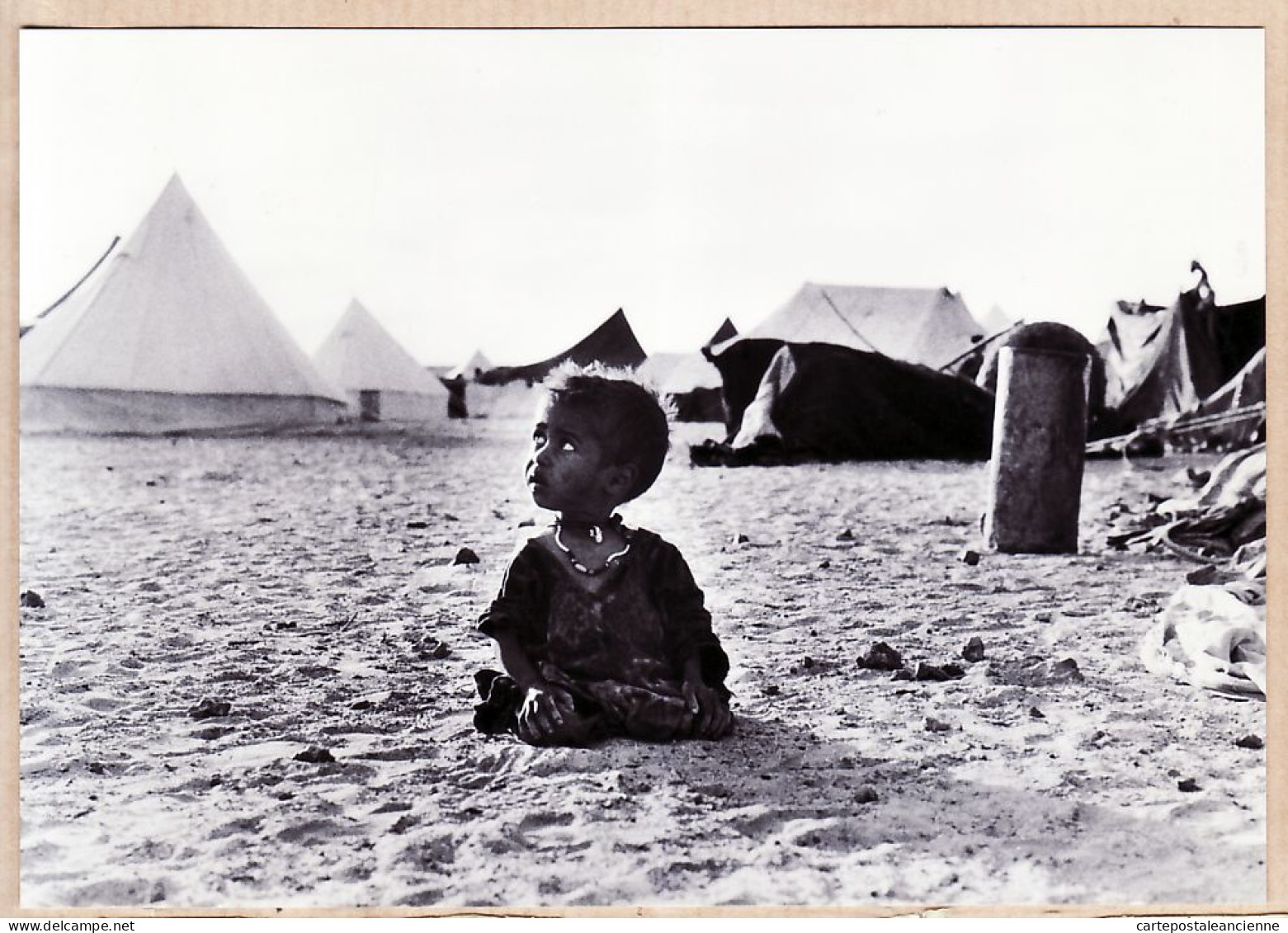 16006 / SAHARA OCCIDENTAL 1981 Famine Enfant Campement Du Front POLISARIO Photo SPENGLER Tirage N° 18/500 - Sahara Occidental