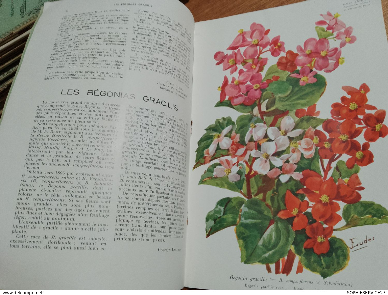 153 // REVUE HORTICOLE 1937 / - 1900 - 1949