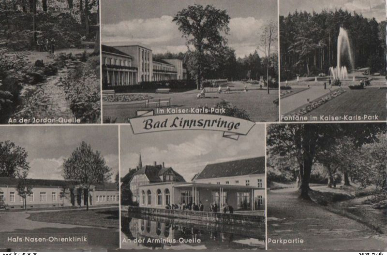 60438 - Bad Lippspringe - U.a. Parkpartie - Ca. 1955 - Bad Lippspringe