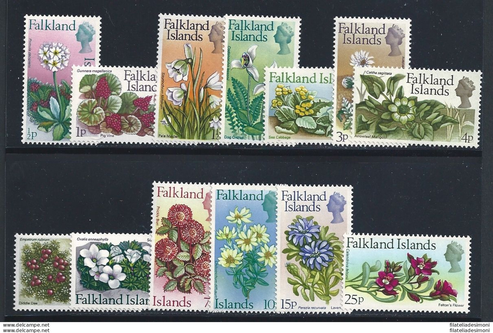 1972 FALKLAND ISLANDS - Yv. 204-216 Fiori 13 Valori MNH** - Autres & Non Classés