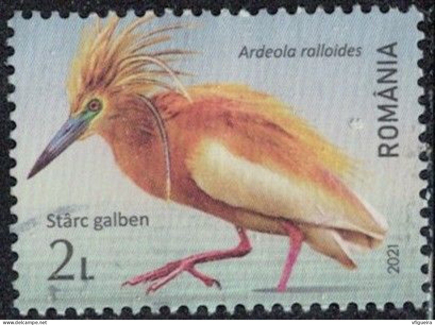 Roumanie 2021 Oblitéré Used Oiseau Ardeola Ralloides Crabier Chevelu Y&T RO 6674 SU - Gebraucht