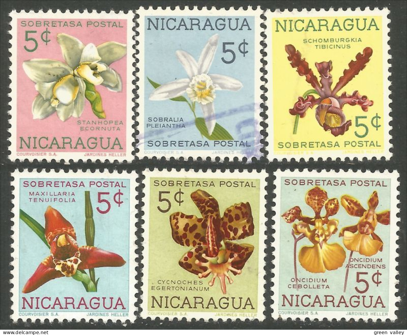 684 Nicaragua Orchids Orchidées (NIC-409) - Orchidées