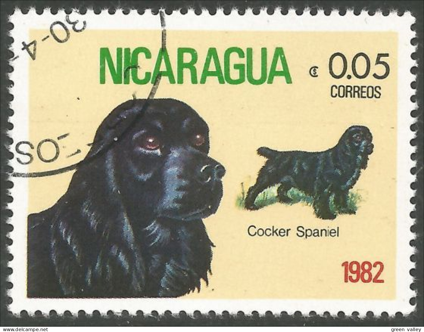 684 Nicaragua Cocker Spaniel (NIC-375) - Honden