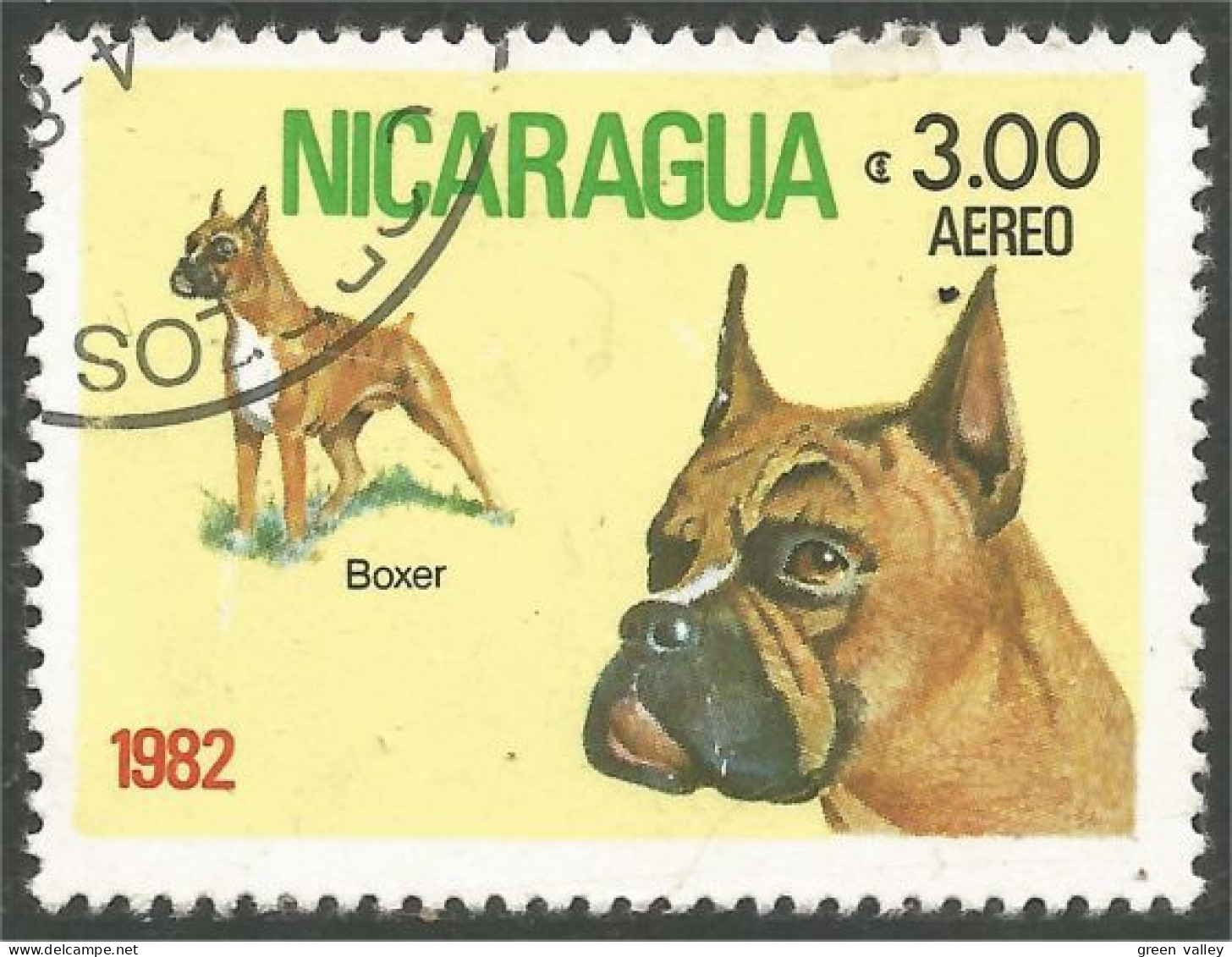 684 Nicaragua Boxer (NIC-377) - Honden
