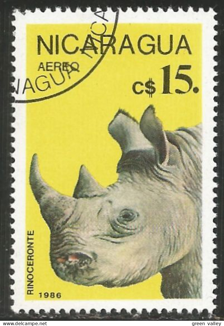 684 Nicaragua Rhinoceros (NIC-349) - Rhinocéros