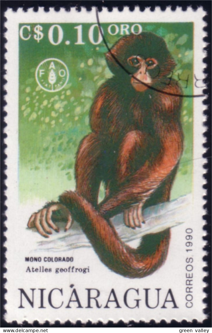 684 Nicaragua Singe Monkey Ape (NIC-329) - Monkeys