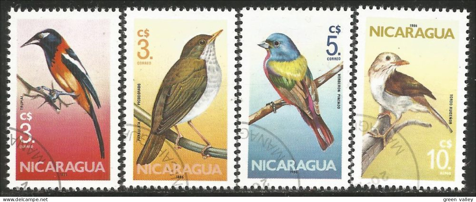 684 Nicaragua Oiseaux Birds Vogeln (NIC-346) - Other & Unclassified