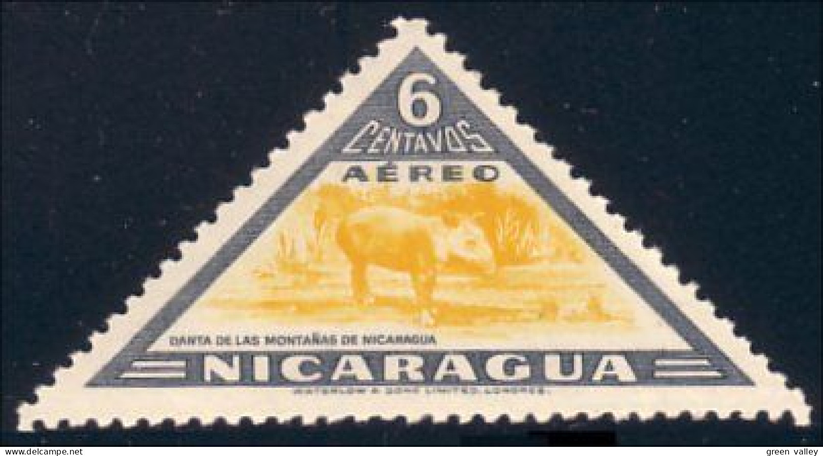 684 Nicaragua Tapir (NIC-261) - Other & Unclassified