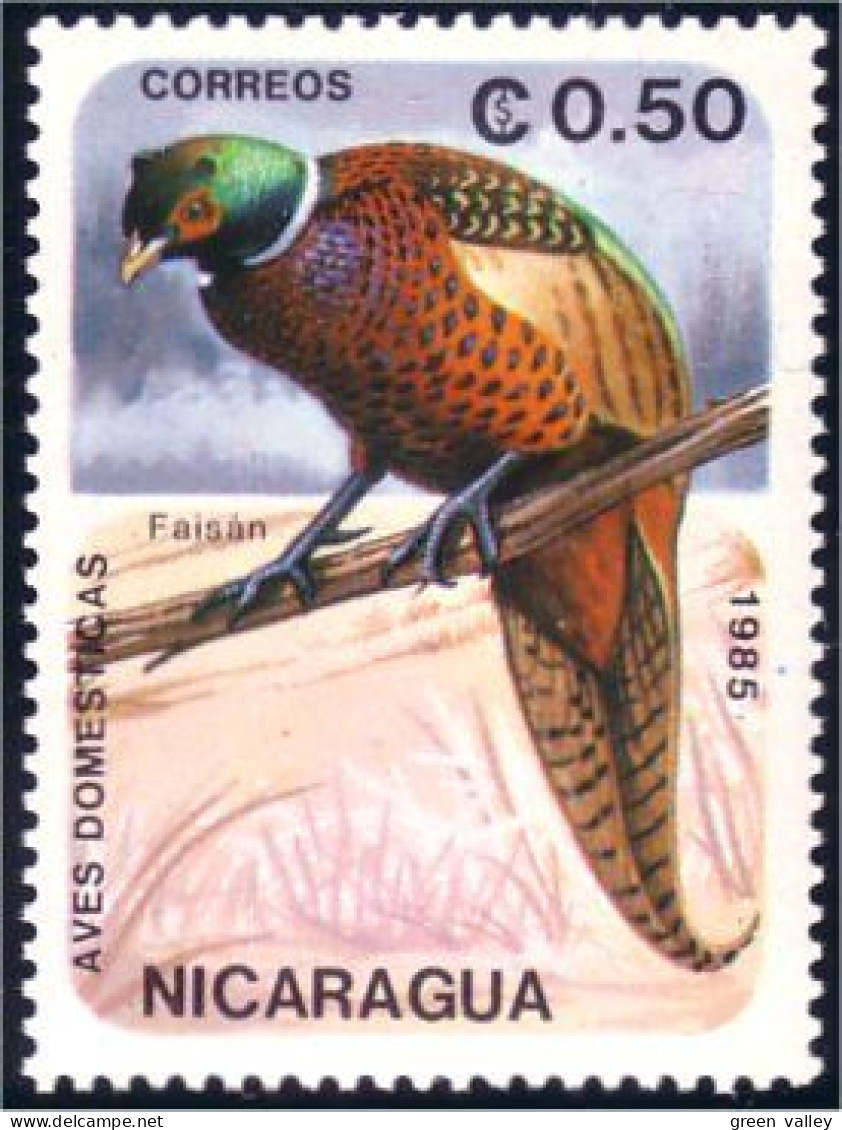 684 Nicaragua Faisan Pheasant MNH ** Neuf SC (NIC-163) - Gallináceos & Faisanes