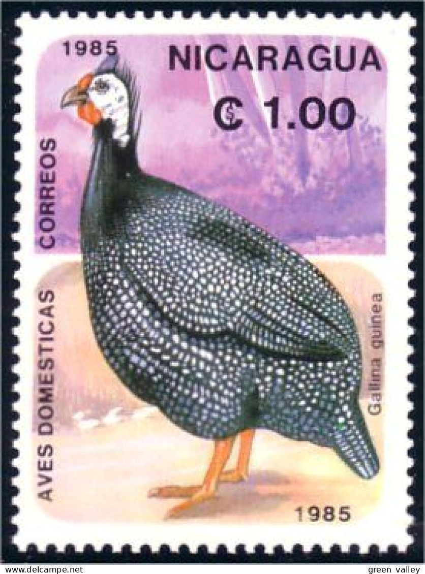 684 Nicaragua Perdrix Guinea Hen MNH ** Neuf SC (NIC-164) - Gallináceos & Faisanes