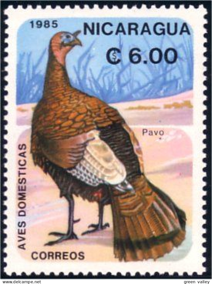 684 Nicaragua Paon Peacock Pavo MNH ** Neuf SC (NIC-165) - Pauwen