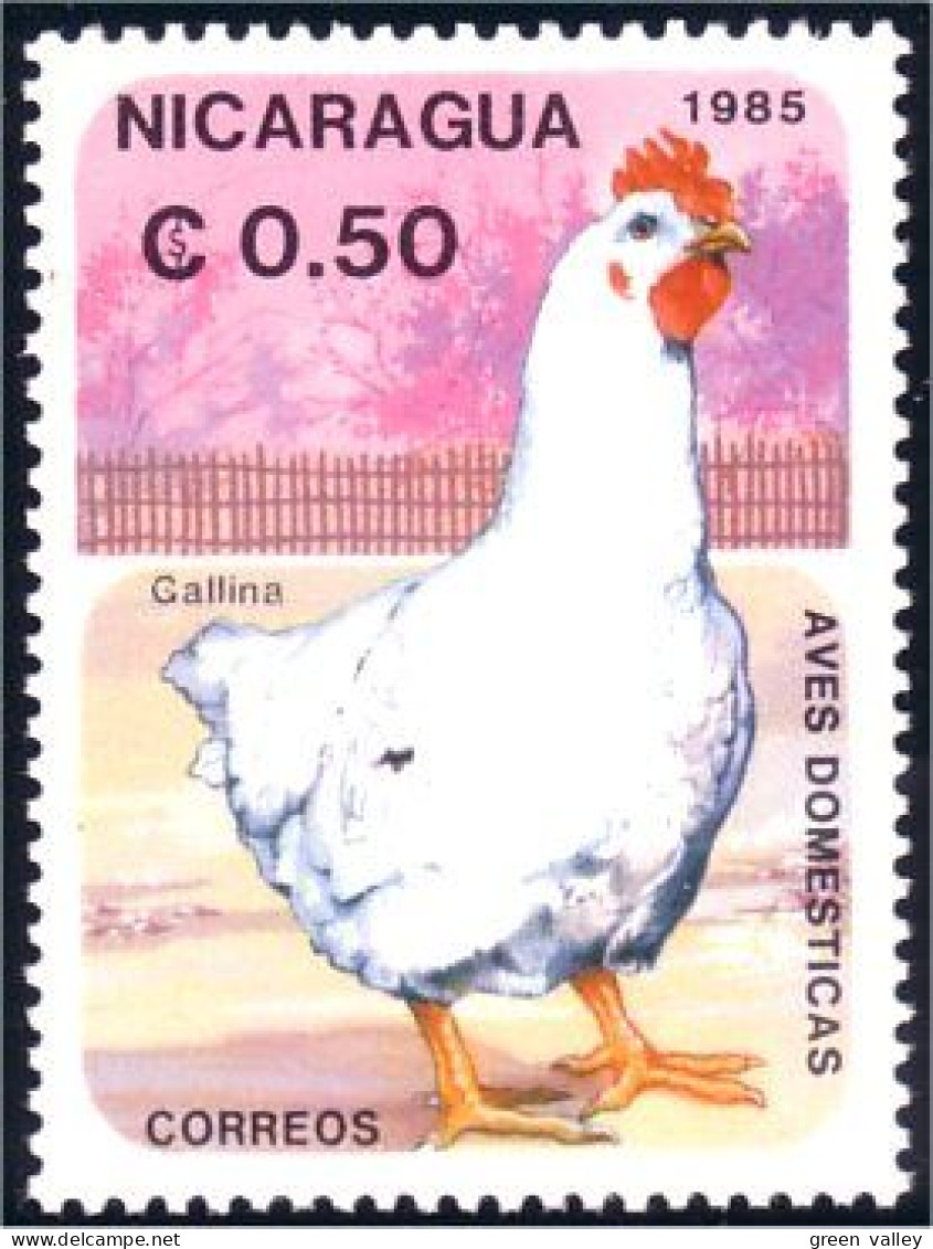 684 Nicaragua Poule Hen Hahn MNH ** Neuf SC (NIC-167) - Gallinaceans & Pheasants