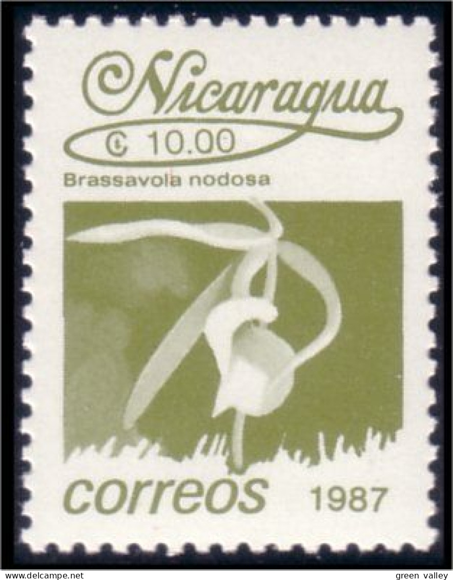 684 Nicaragua Orchidée Orchid MNH ** Neuf SC (NIC-113b) - Orchids