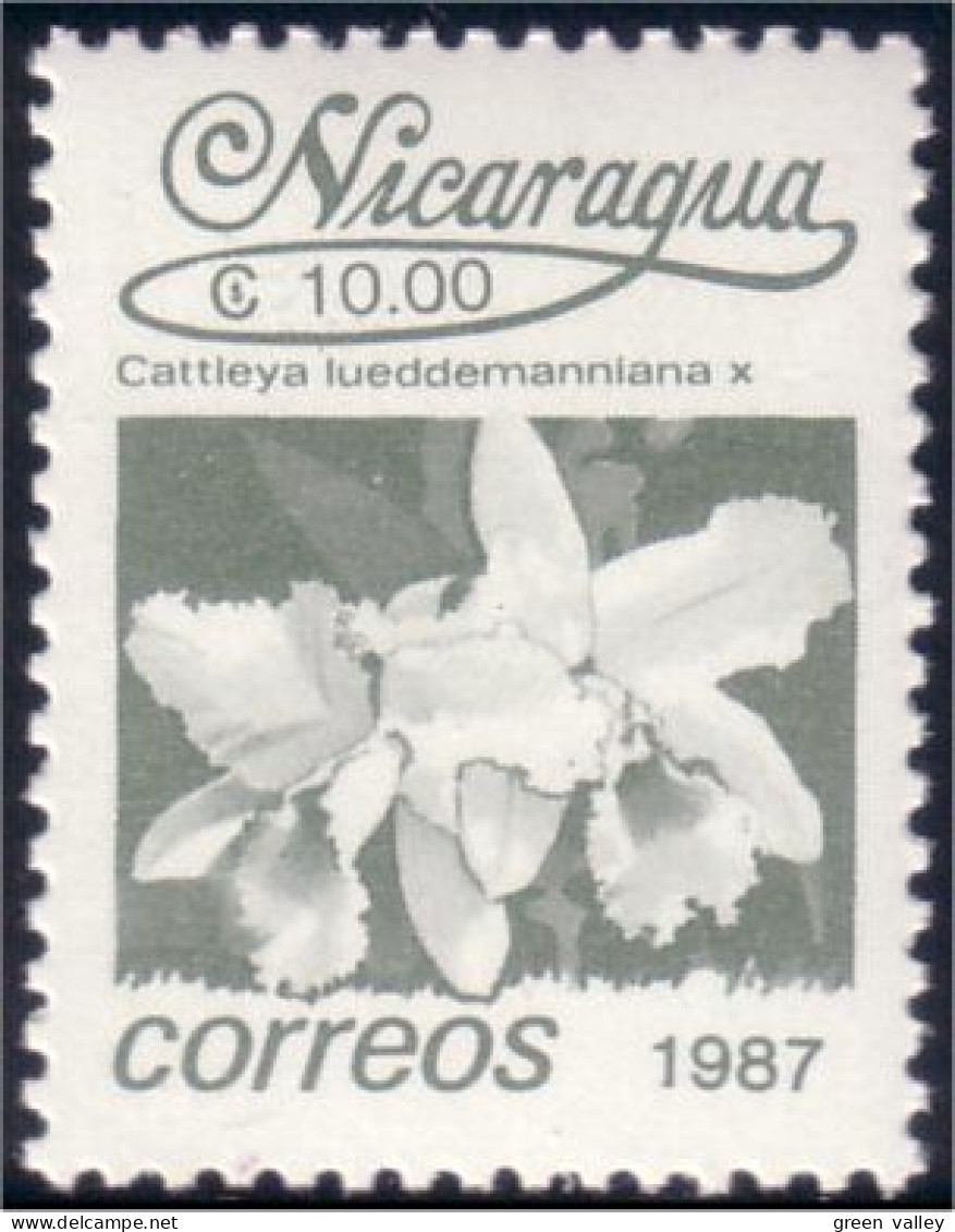 684 Nicaragua Orchidée Orchid MNH ** Neuf SC (NIC-111b) - Orchids