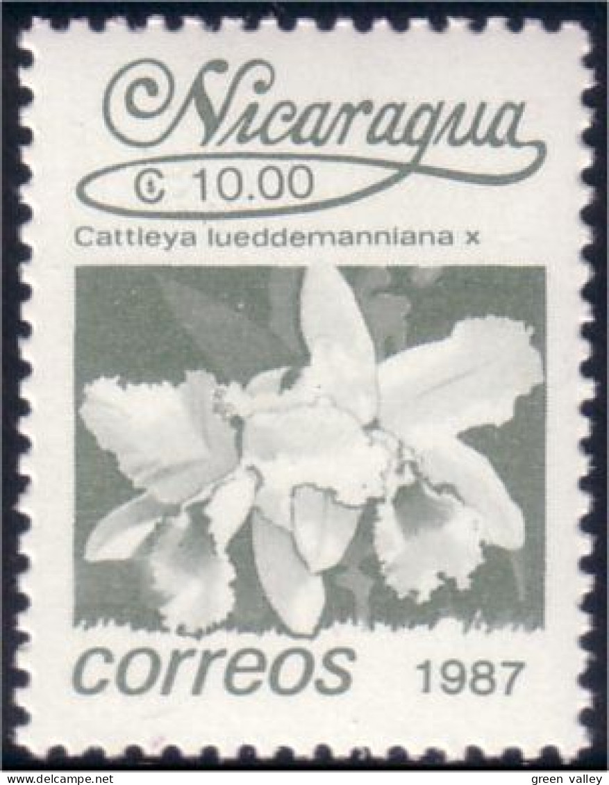 684 Nicaragua Orchidée Orchid MNH ** Neuf SC (NIC-111a) - Nicaragua