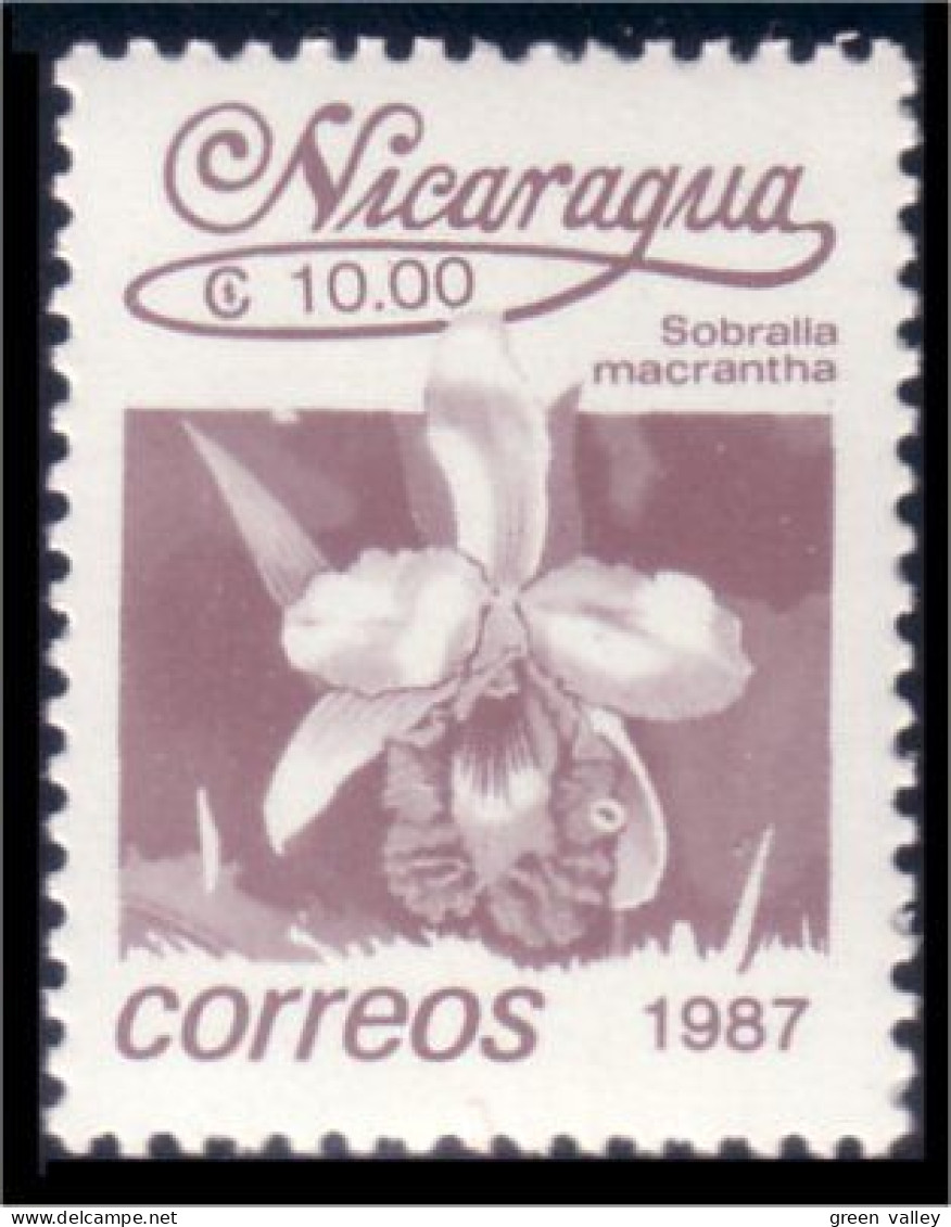 684 Nicaragua Orchidée Orchid MNH ** Neuf SC (NIC-112a) - Nicaragua