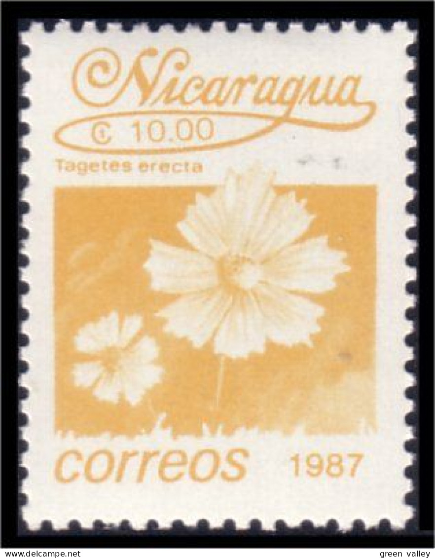 684 Nicaragua Flower Fleur MNH ** Neuf SC (NIC-108a) - Nicaragua