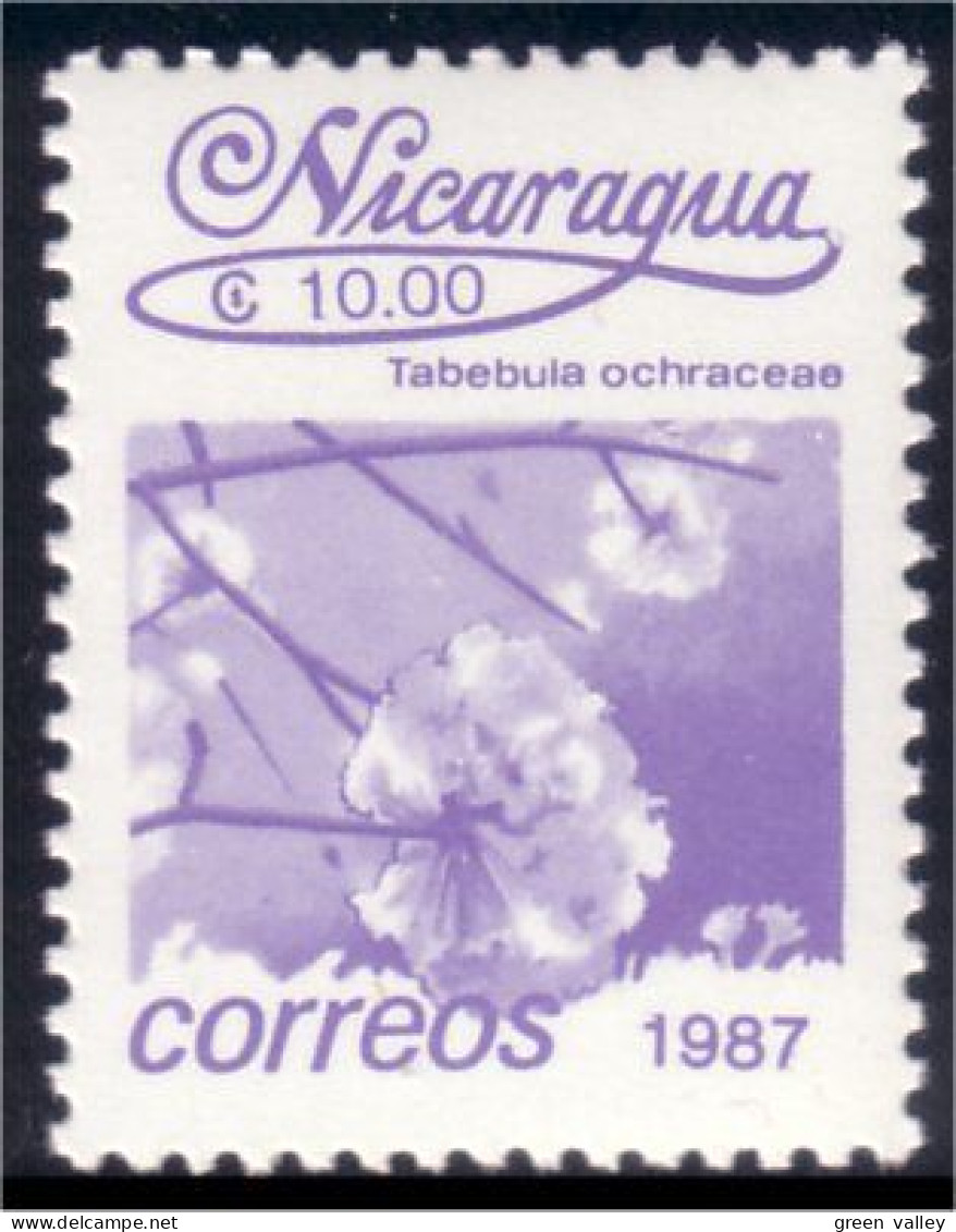 684 Nicaragua Flower Fleur MNH ** Neuf SC (NIC-104a) - Nicaragua