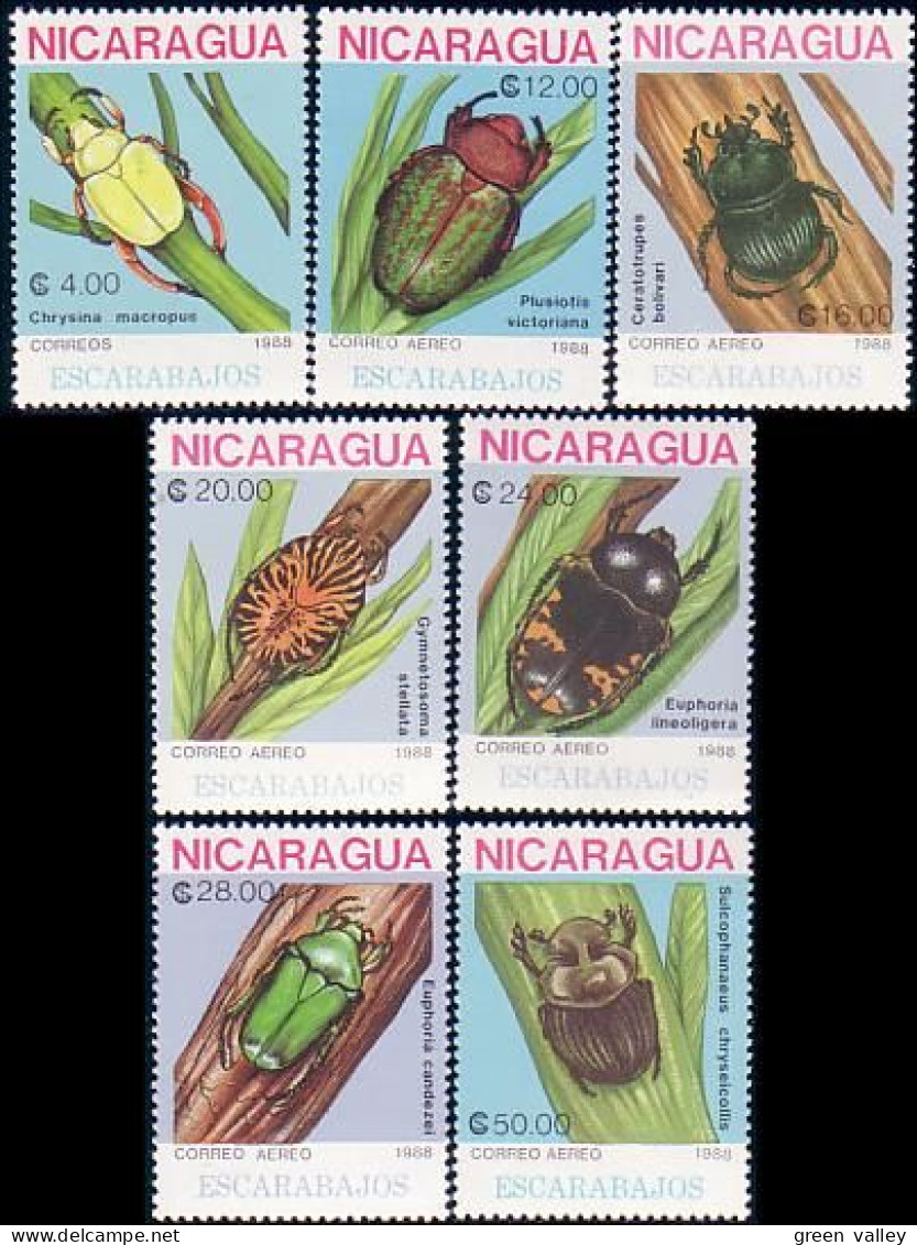 684 Nicaragua Insects Insectes Scarabées Beetles MNH ** Neuf SC (NIC-72) - Nicaragua