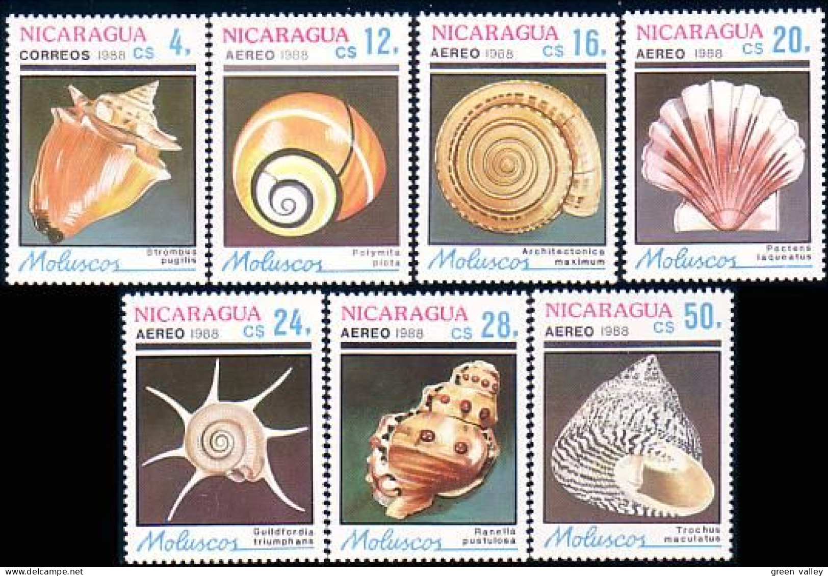684 Nicaragua Coquillages Sea Shells MNH ** Neuf SC (NIC-71b) - Coneshells