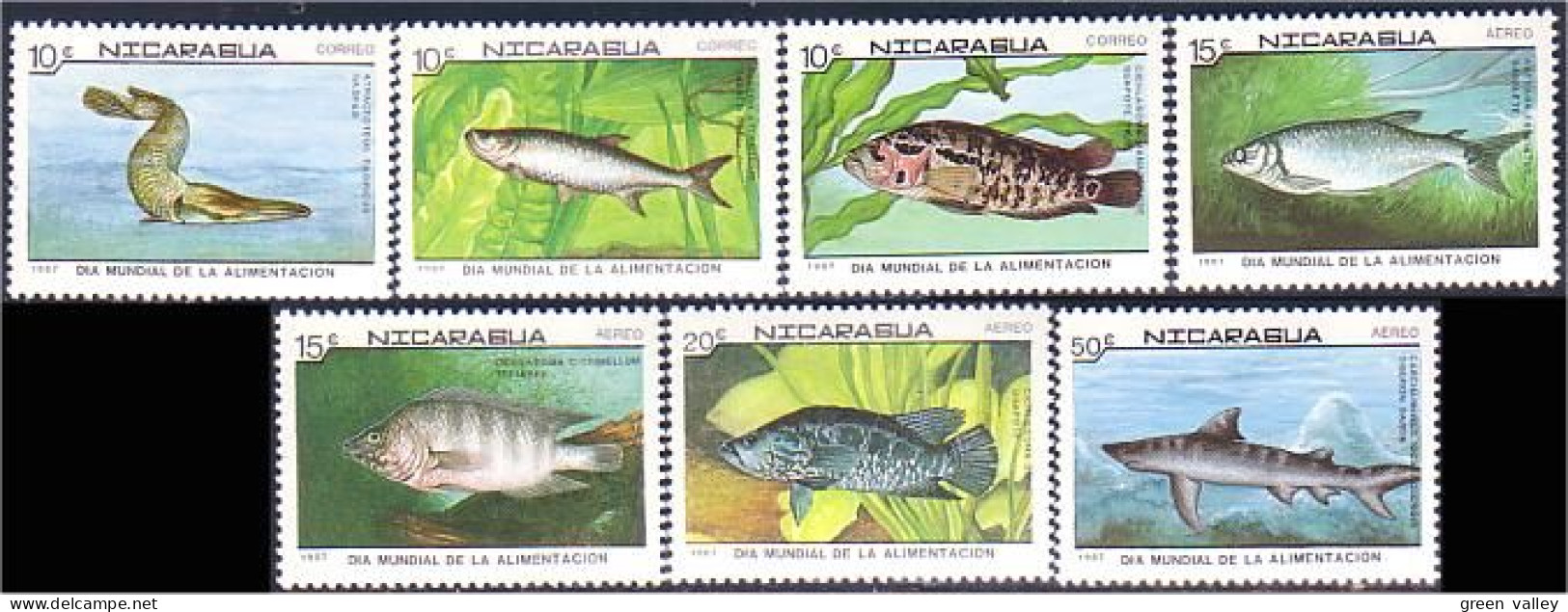 684 Nicaragua Poissons Requin Fish Fishes Fische Shark MNH ** Neuf SC (NIC-65a) - Nicaragua