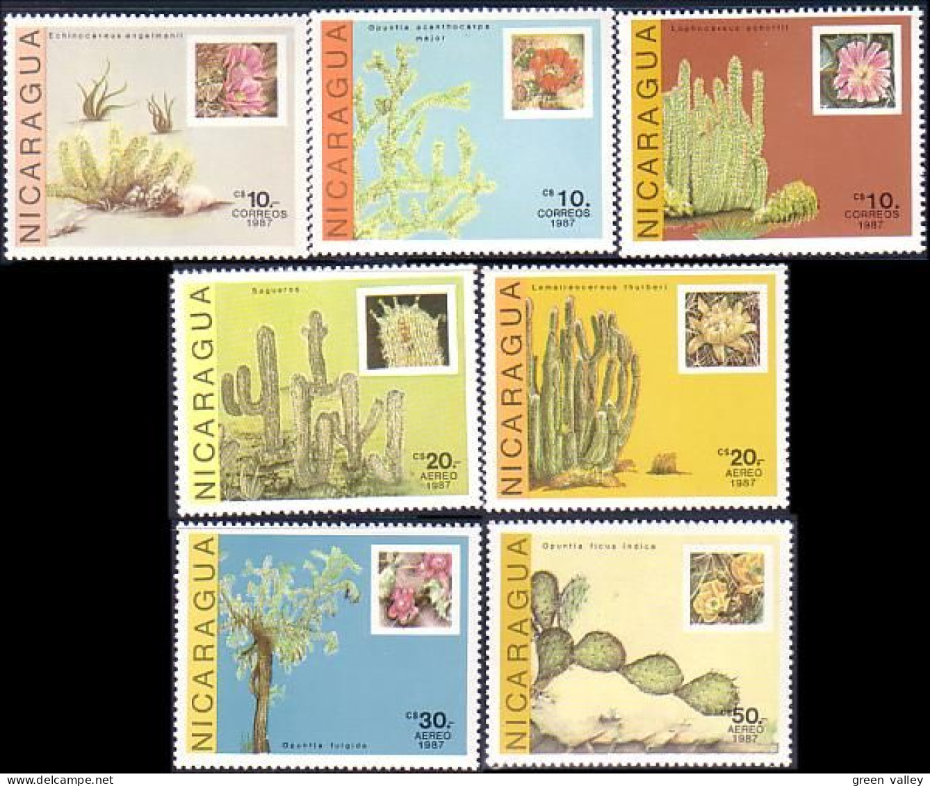 684 Nicaragua Cactus Cactii MNH ** Neuf SC (NIC-63c) - Sukkulenten