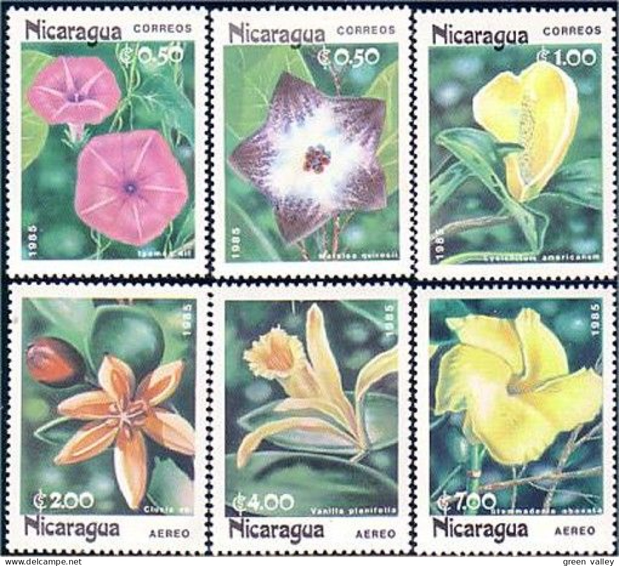 684 Nicaragua Fleurs Flowers Blumen MNH ** Neuf SC (NIC-43b) - Autres & Non Classés