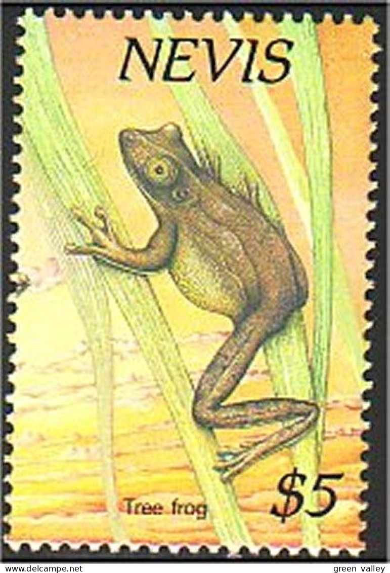 672 Nevis Grenouille Arboricole Tree Frog MNH ** Neuf SC (NEV-49) - Frösche