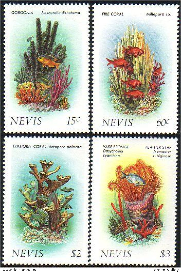 672 Nevis Corail Coraux Corals MNH ** Neuf SC (NEV-1b) - Marine Life