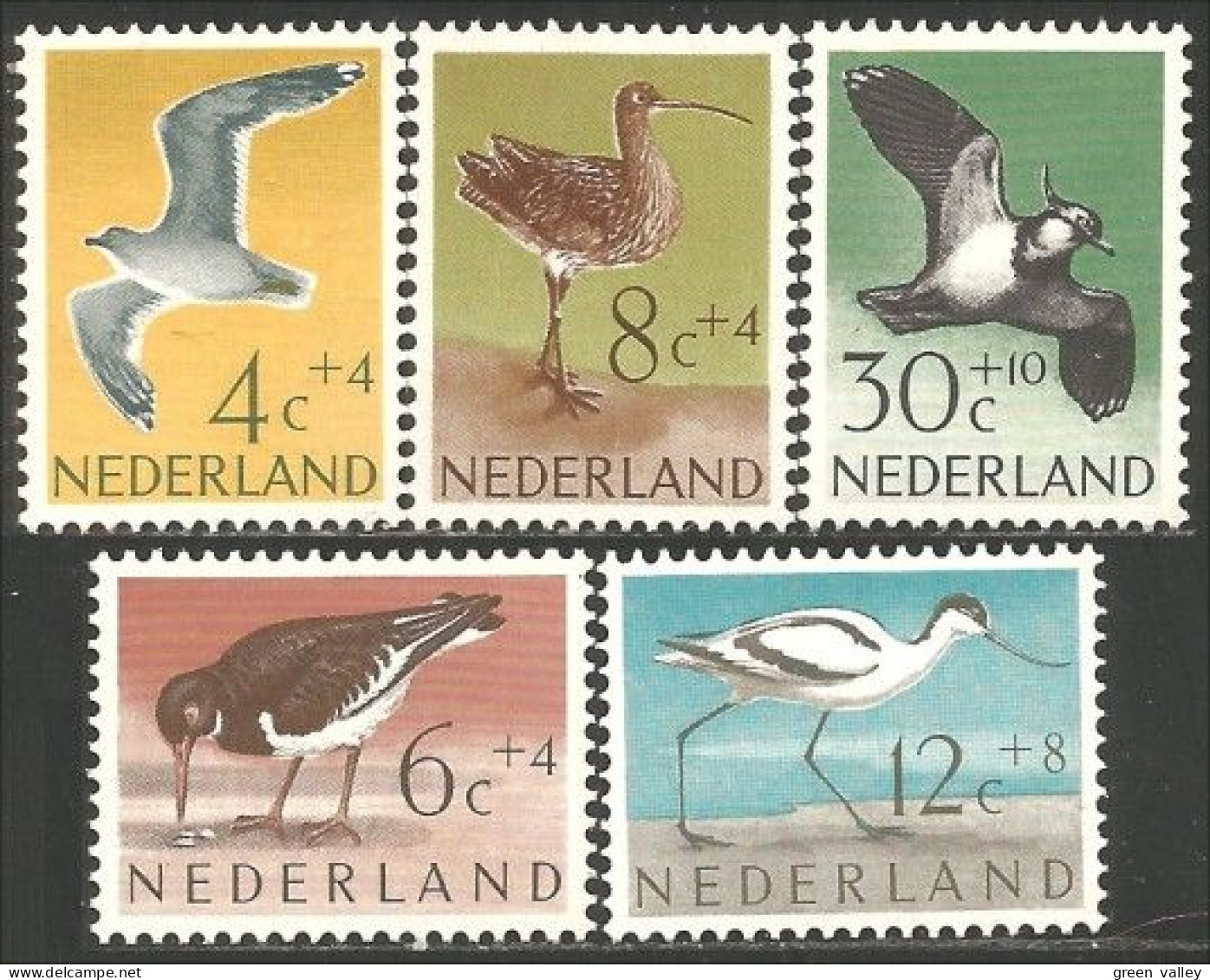 670 Netherlands Gull Mouette Avocet Lapwing Curlew Avocette Lightly MH * Neuf (NET-30) - Other & Unclassified