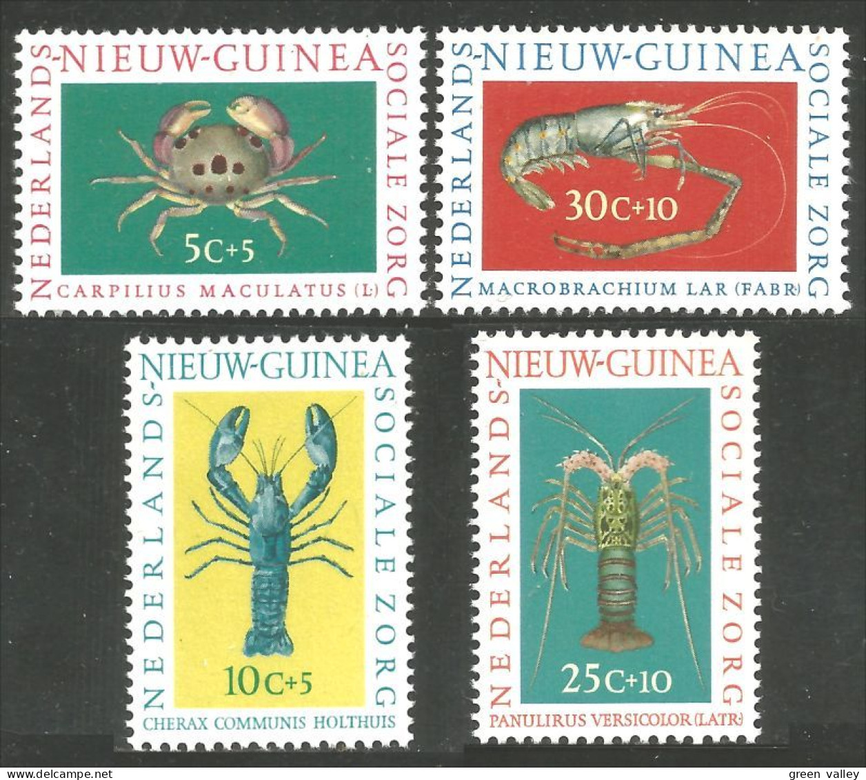 669 Netherlands New Guinea Crabe Homard Crevette Langouste Carb Lobster Shrimp MNH ** Neuf SC (NEC-43) - Schalentiere