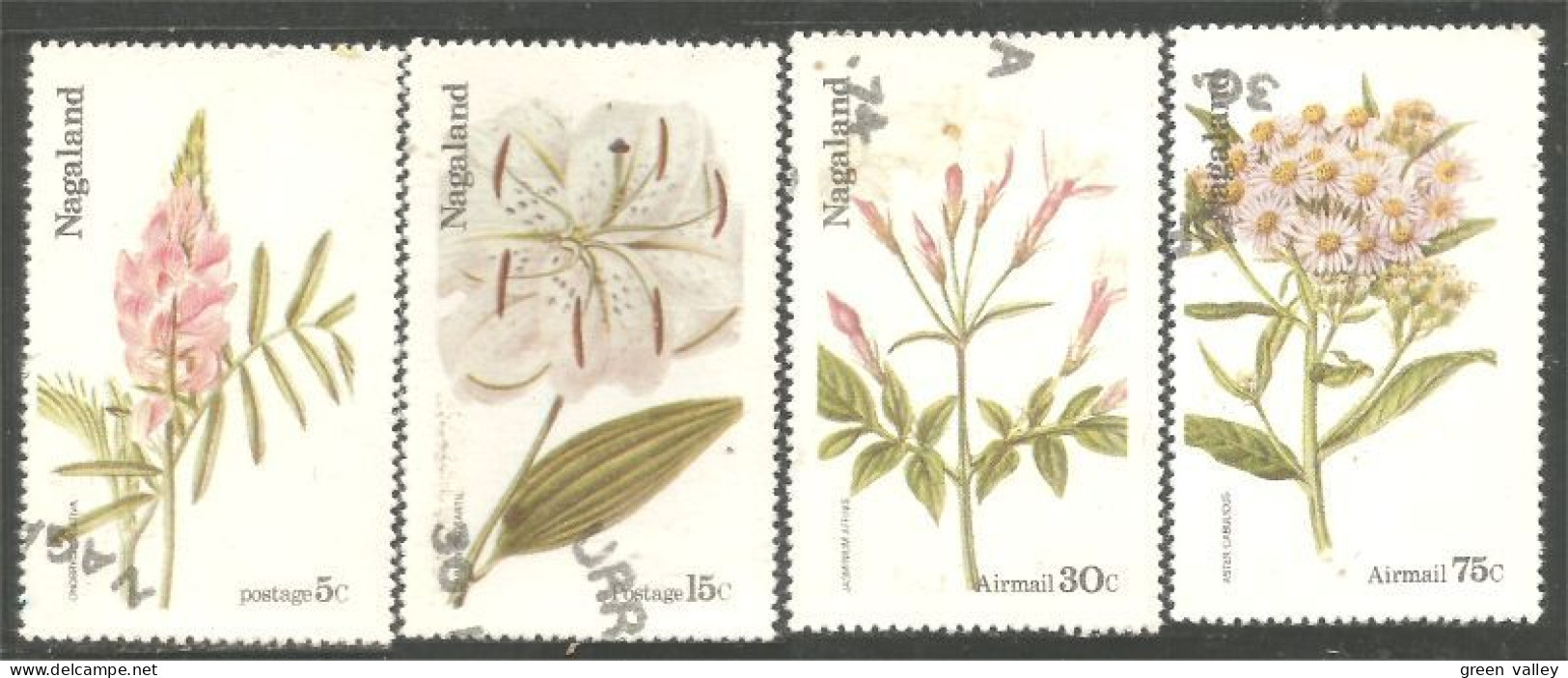 654 Fleurs Flowers Jasmine Aster Saliva (NAG-2) - Autres & Non Classés