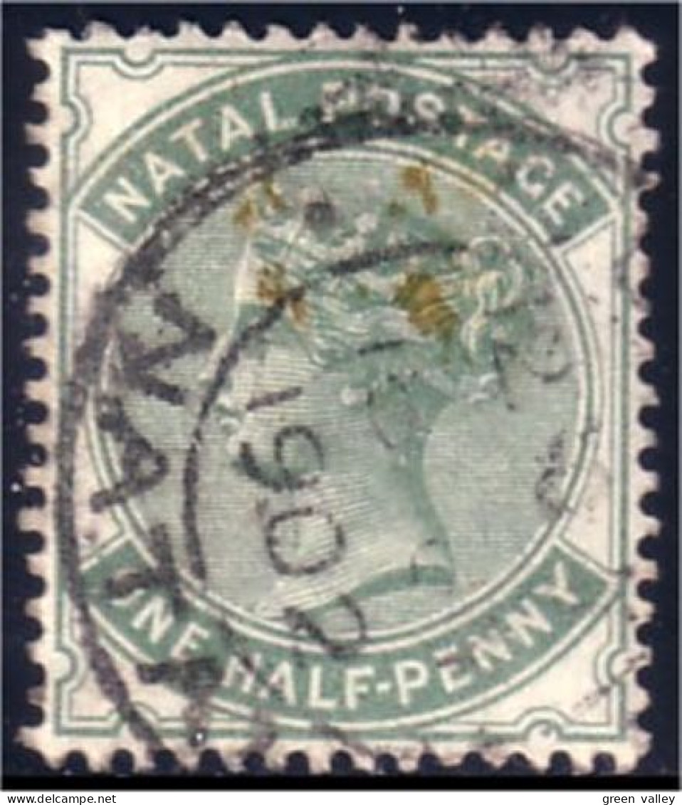 660 Natal One Half-penny 1884 VF (NAT-1) - Natal (1857-1909)