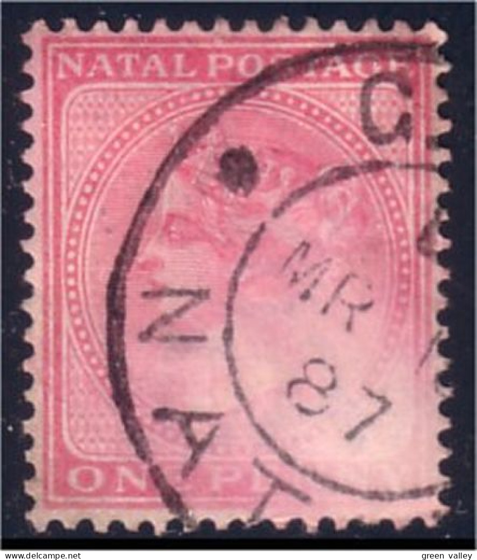 660 Natal One Penny (NAT-3) - Natal (1857-1909)