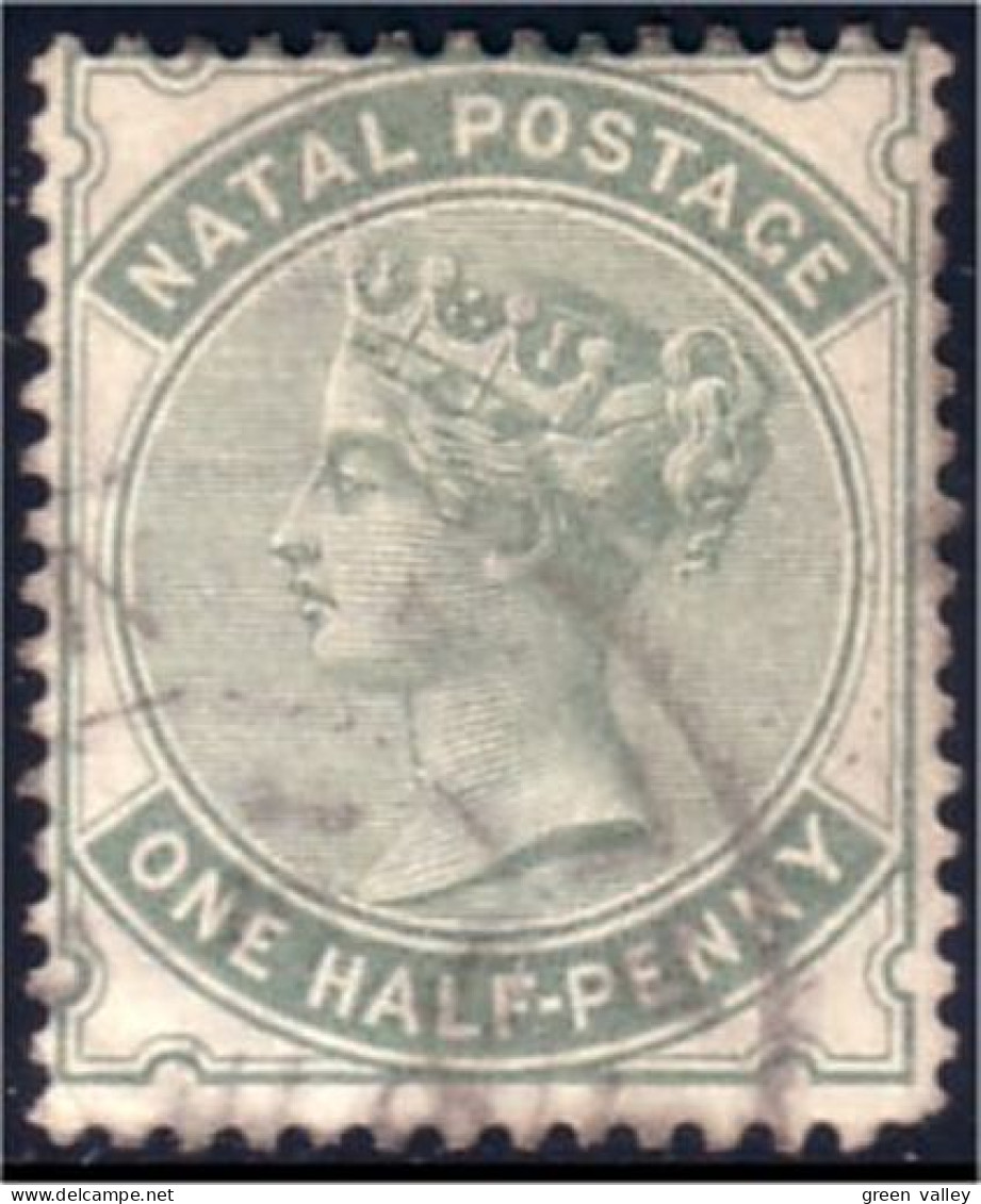 660 Natal One Half-penny 1884 (NAT-2) - Natal (1857-1909)