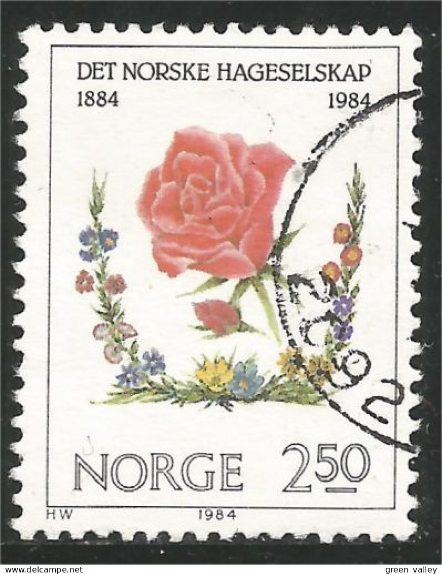 690 Norway Horticulture Fleur Flower Blume (NOR-371b) - Autres & Non Classés