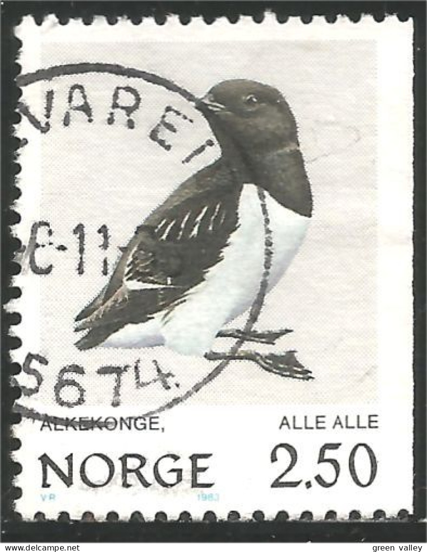 690 Norway Oiseau Bird Vogel Uccello Little Auk Petit Pingouin Krabbentaucher Kleine Alk (NOR-363b) - Other & Unclassified