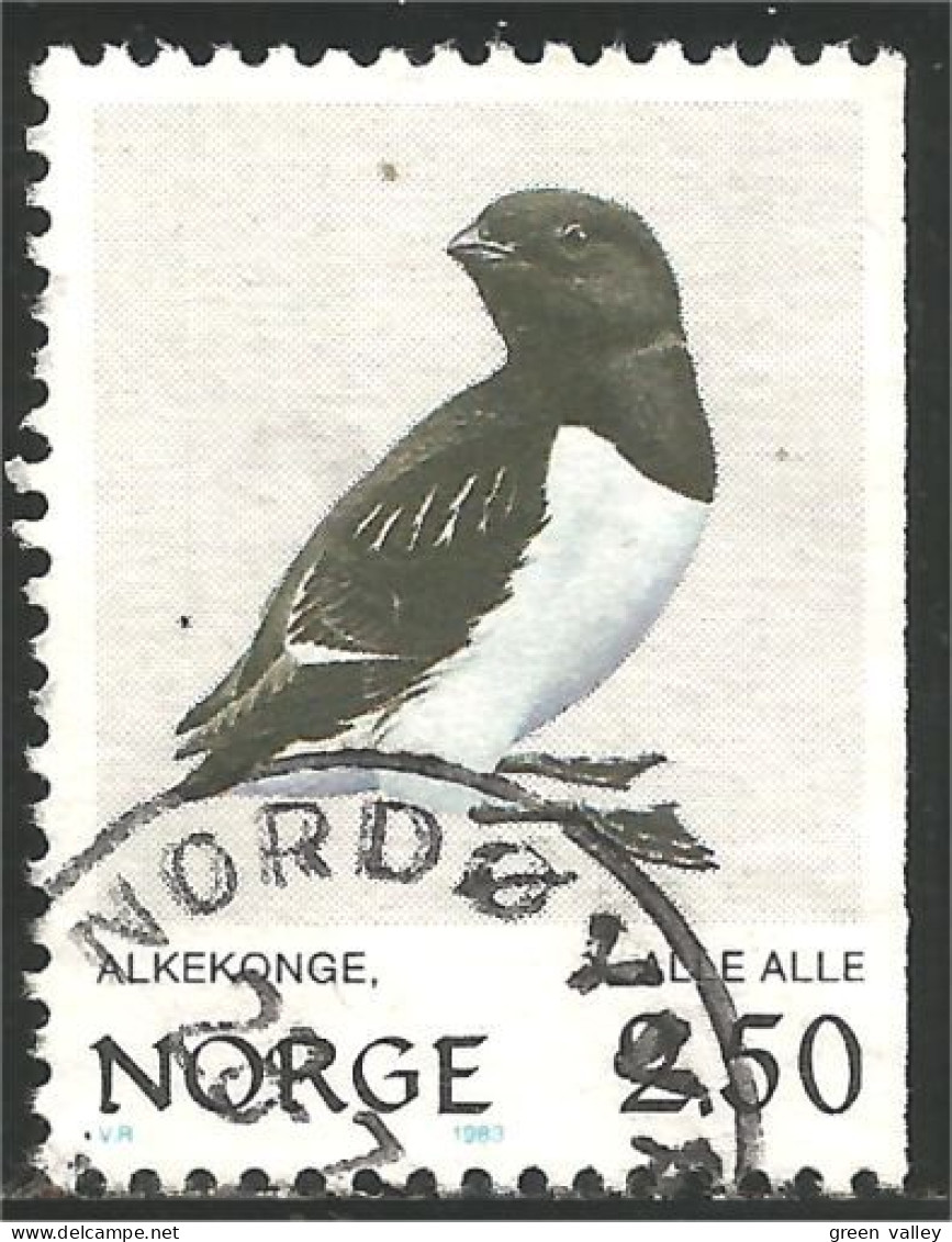 690 Norway Oiseau Bird Vogel Uccello Little Auk Petit Pingouin Krabbentaucher Kleine Alk (NOR-363c) - Penguins